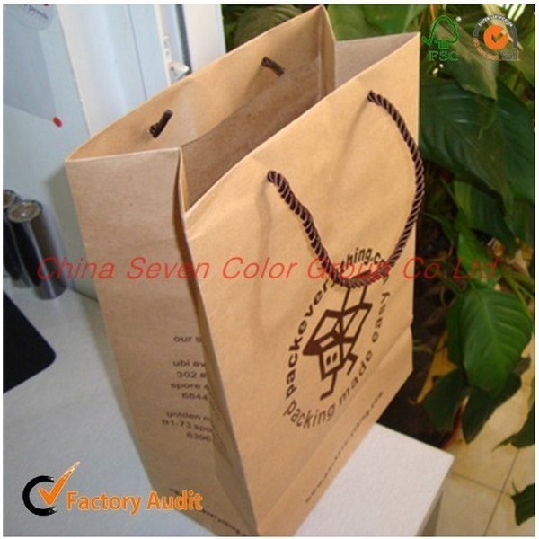 Custom Manufacturer Paper Bag Foldable Gift Paper Bag